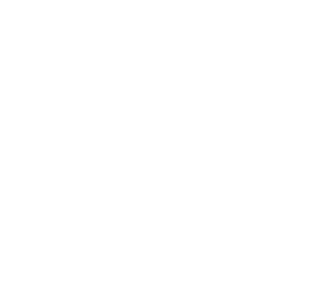 TerraHR Consulting
